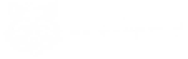 Veronica-Boost